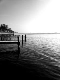 Morning on the River